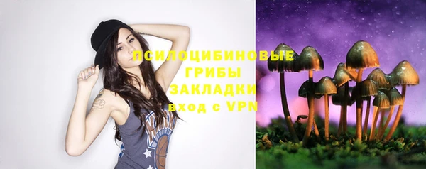 твердый Володарск