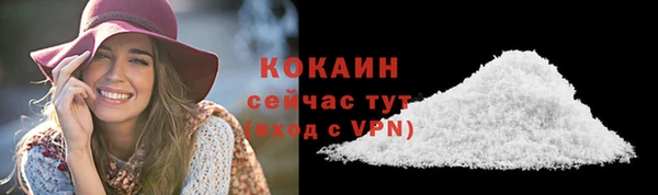 твердый Володарск